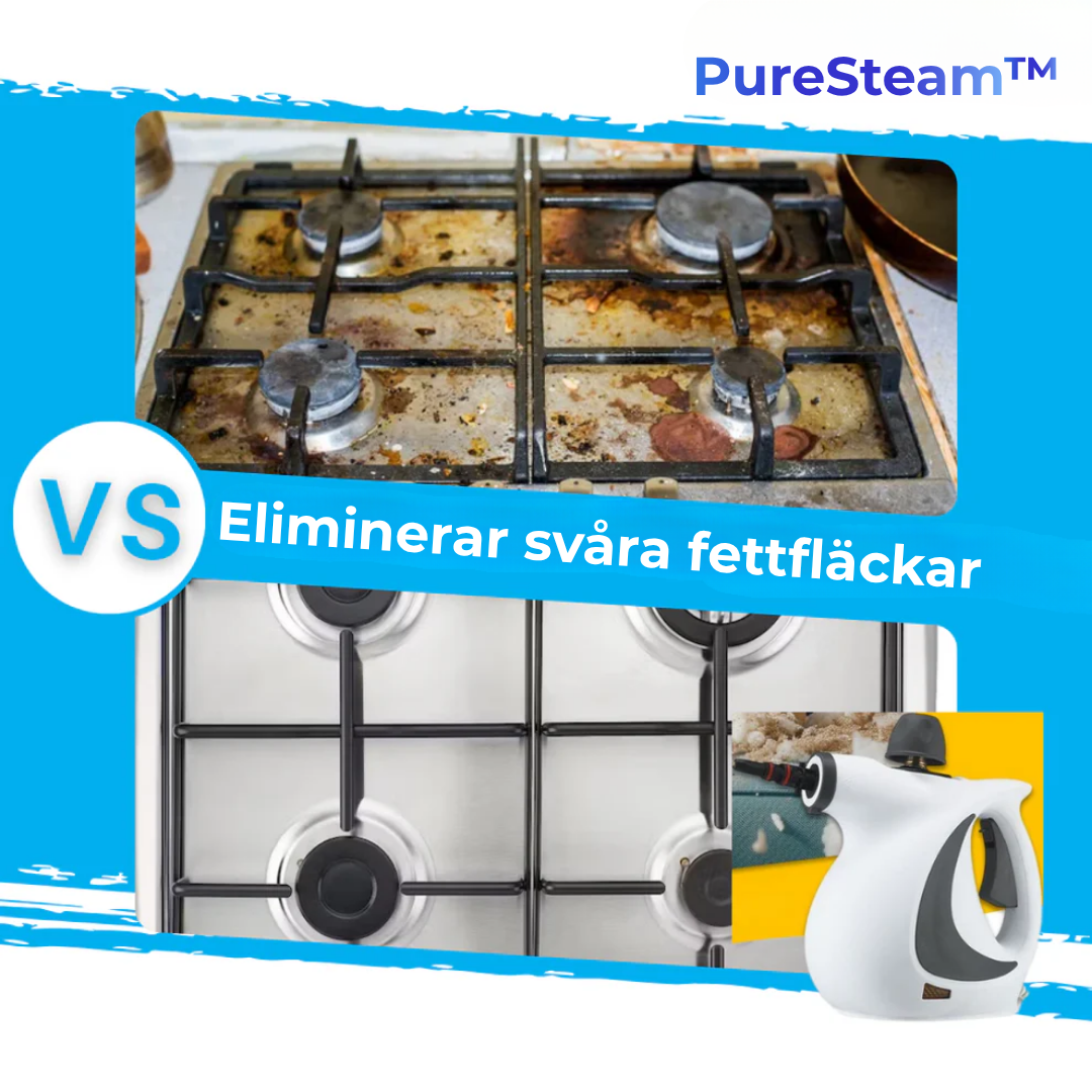 NordSteam™ PureClean – Handhållen Ångrengörare