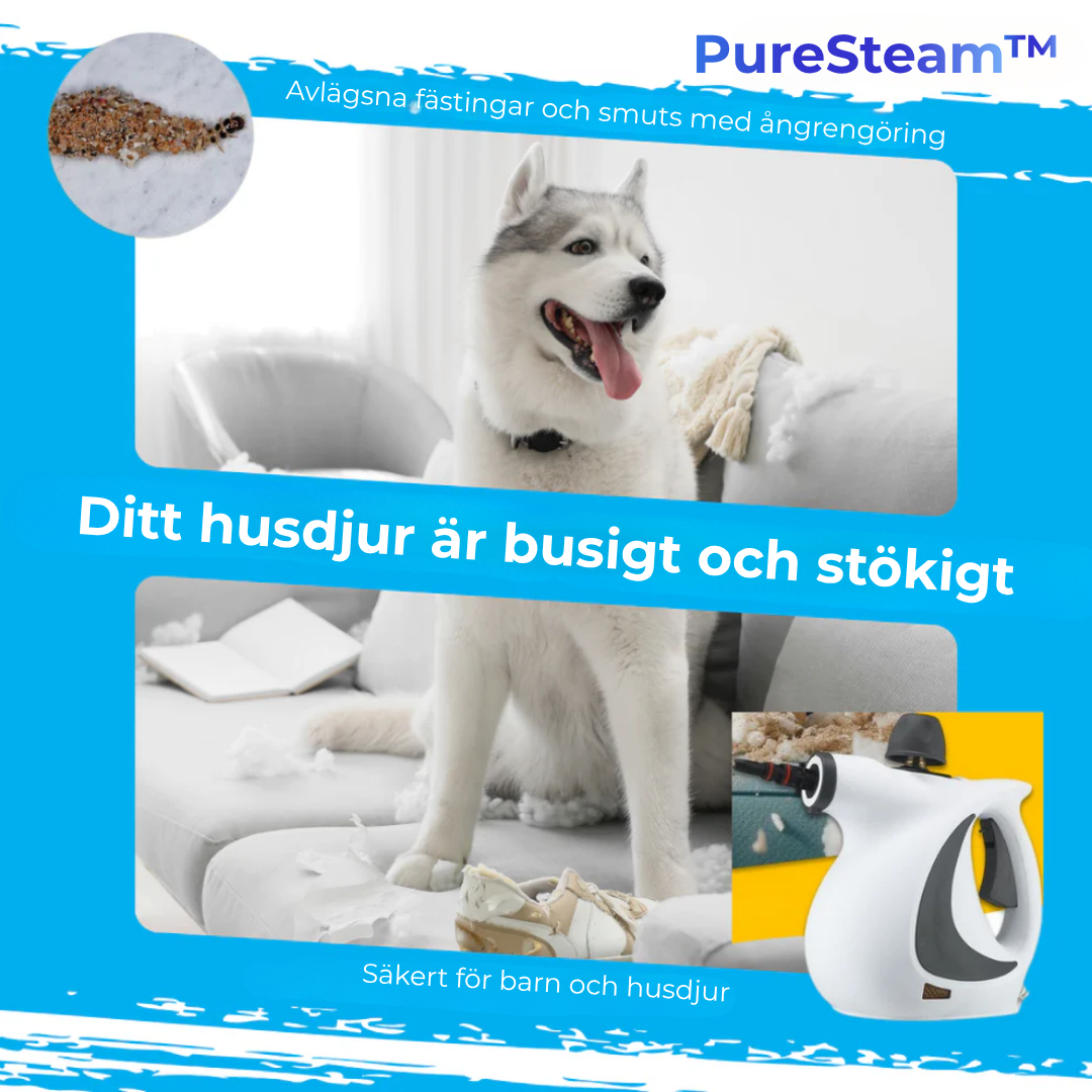 NordSteam™ PureClean – Handhållen Ångrengörare