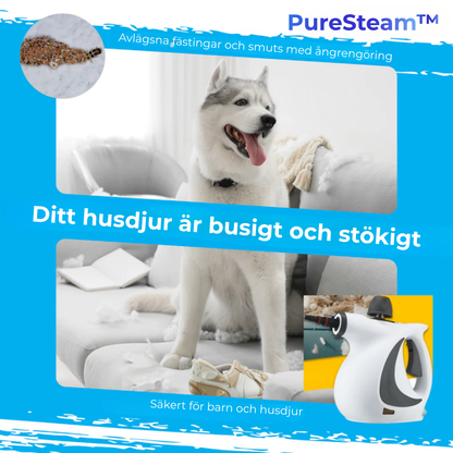 NordSteam™ PureClean – Handhållen Ångrengörare